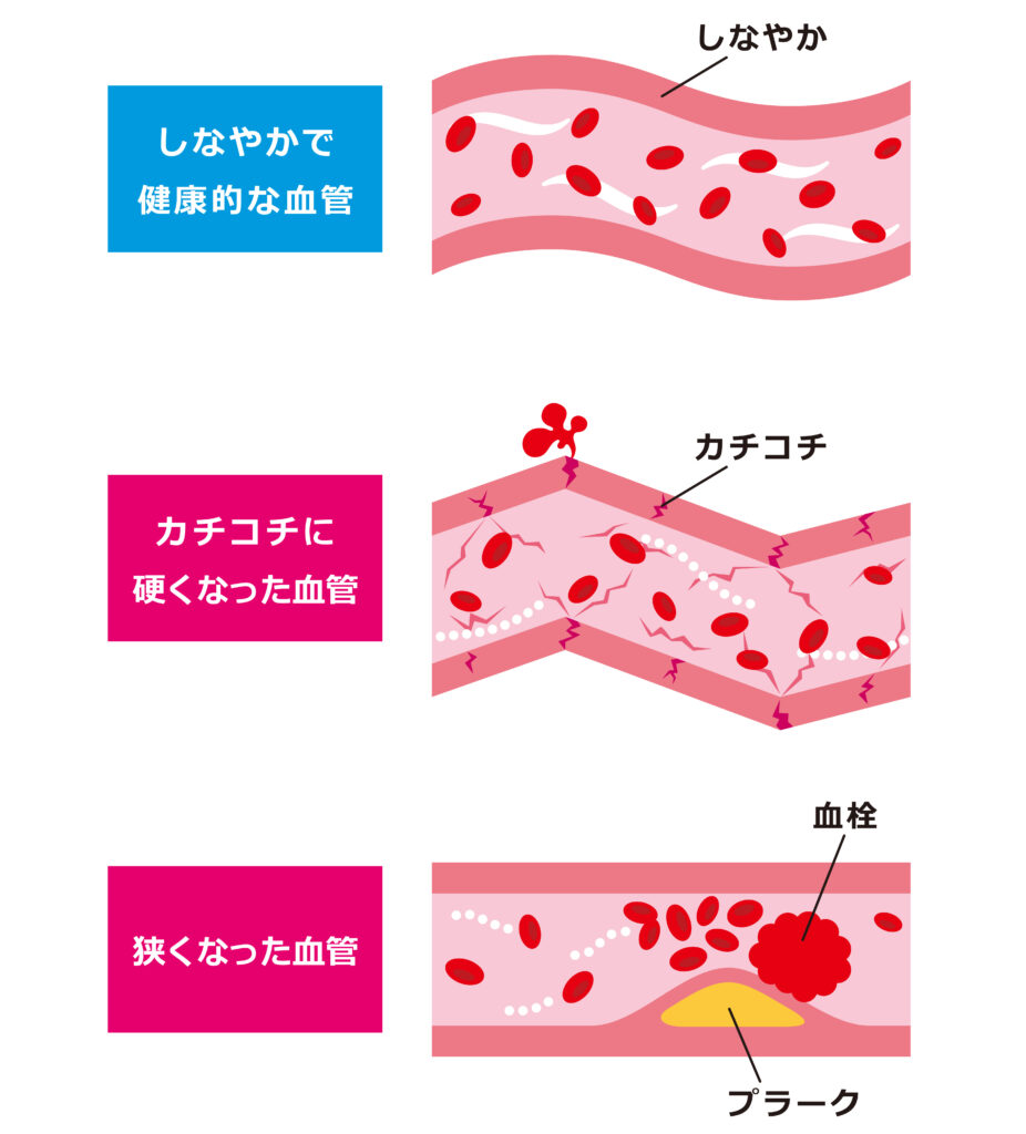 健康な髪を育てるための理想の血管とは